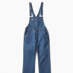 ATWYLD Outlier Overalls